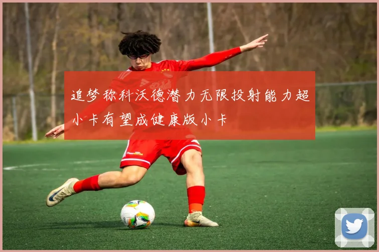 追梦称科沃德潜力无限投射能力超小卡有望成健康版小卡