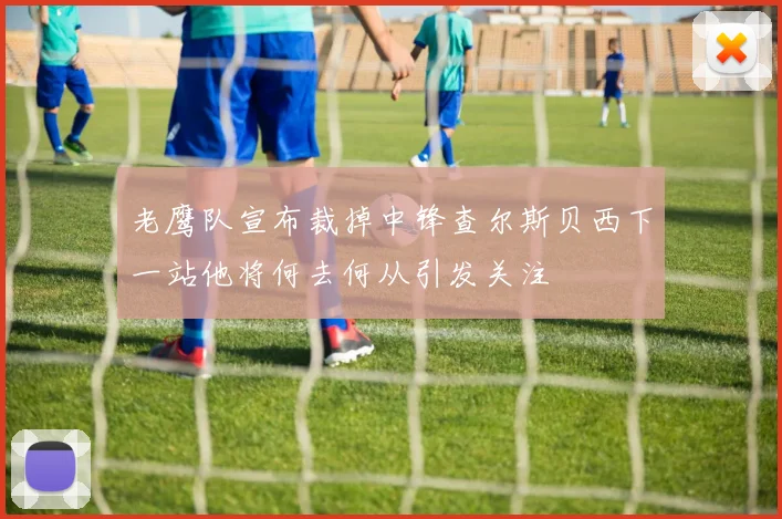 老鹰队宣布裁掉中锋查尔斯贝西下一站他将何去何从引发关注
