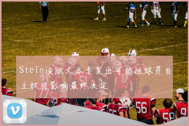 Stein谈欧文本季复出可能性球员自主权将影响最终决定