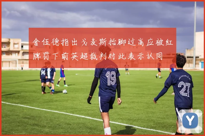 舍伍德指出戈麦斯抬脚过高应被红牌罚下前英超裁判对此表示认同